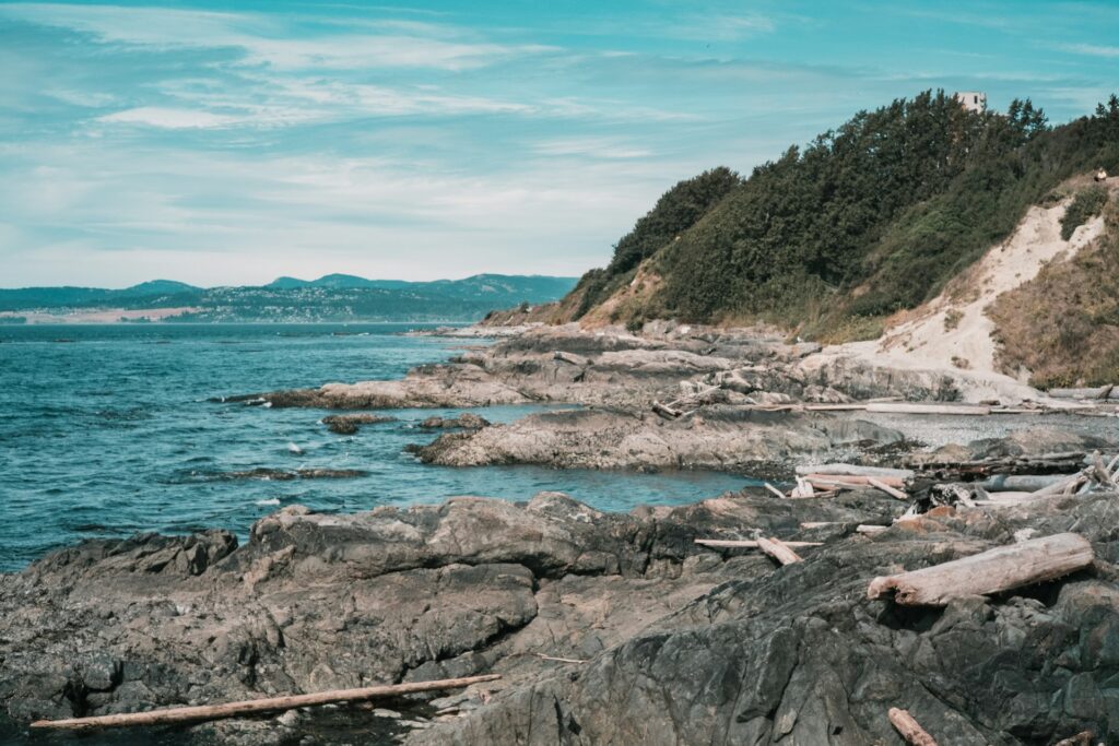 Cadboro Bay Movers - Beach landmark photo