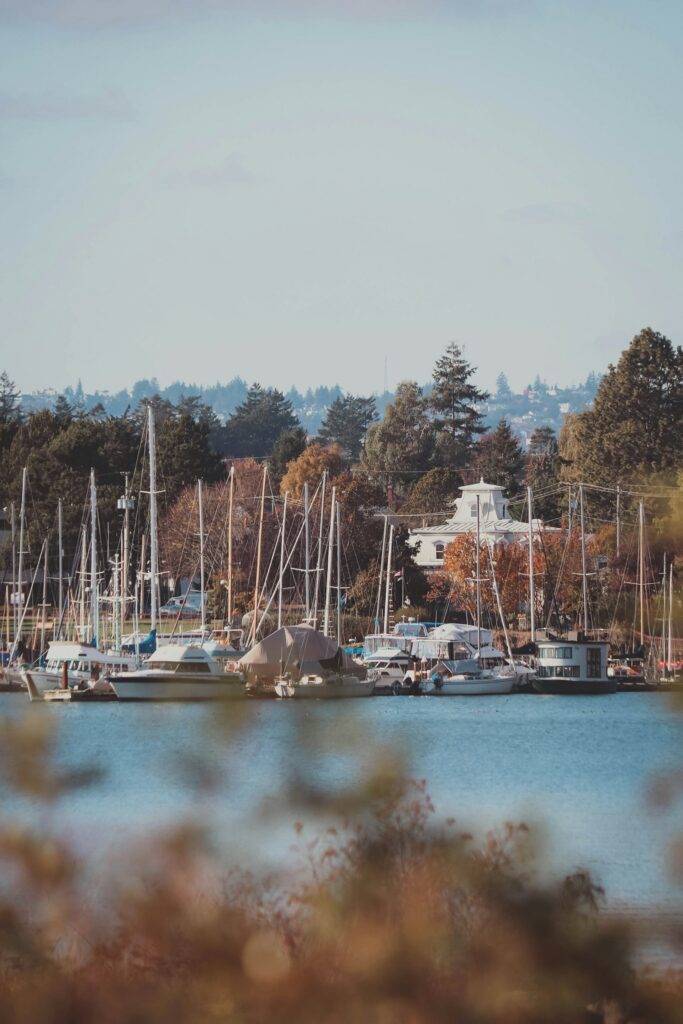 Oak Bay Marina - Brown Bear Moving