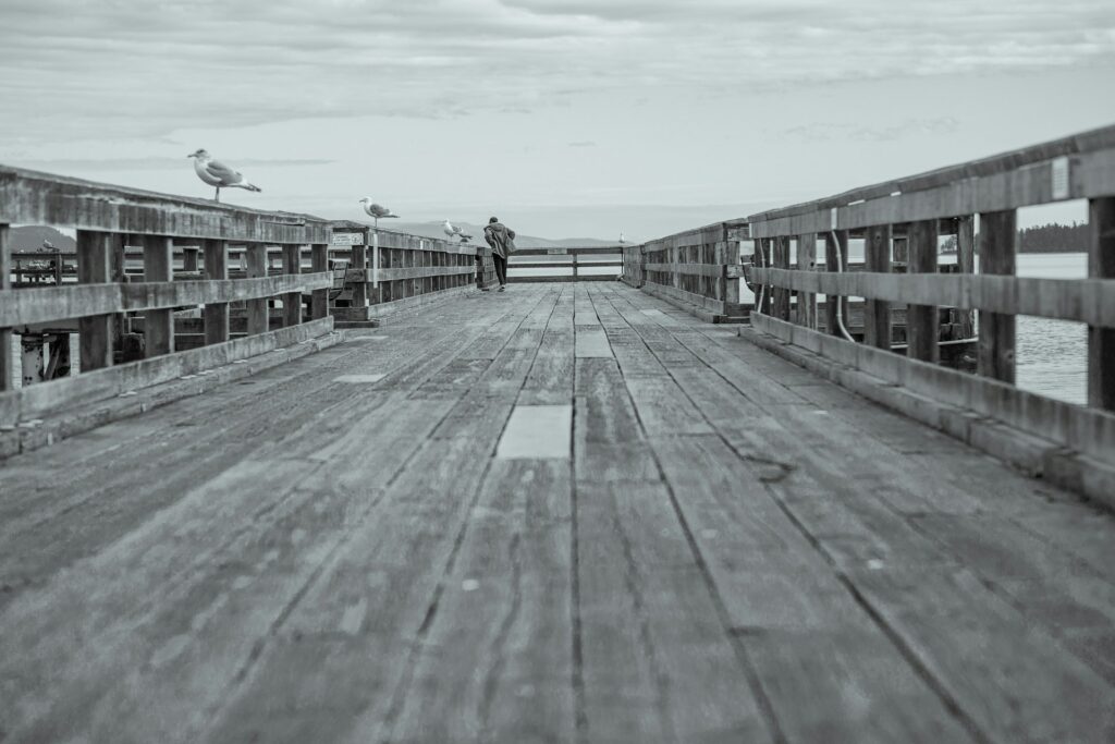 Sidney Movers - Waterfront landmark photo